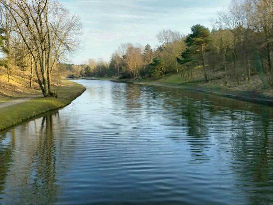 Amsterdamse Waterleidingduinen